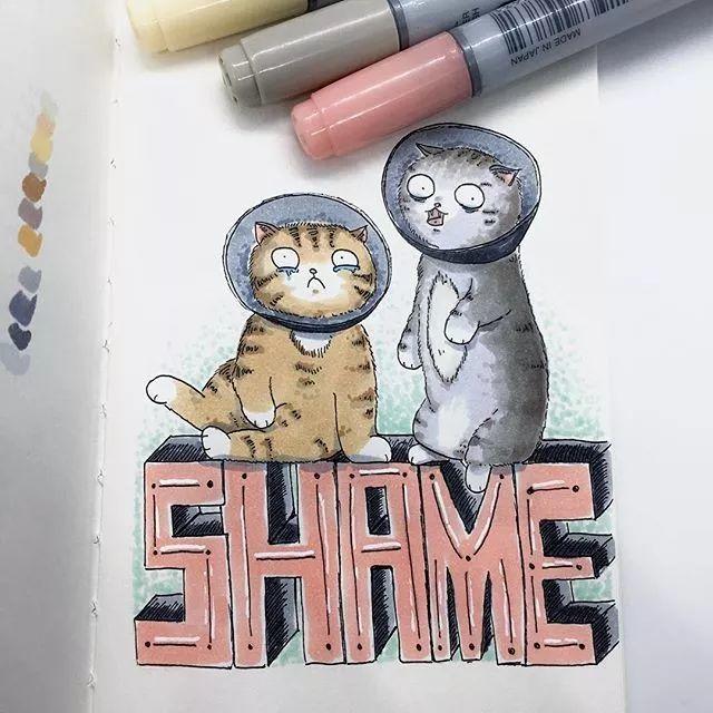 Singapore，Adidas clover，logo，flooflers，