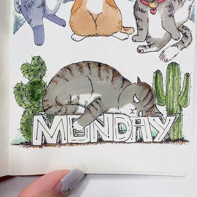 Singapore，Adidas clover，logo，flooflers，