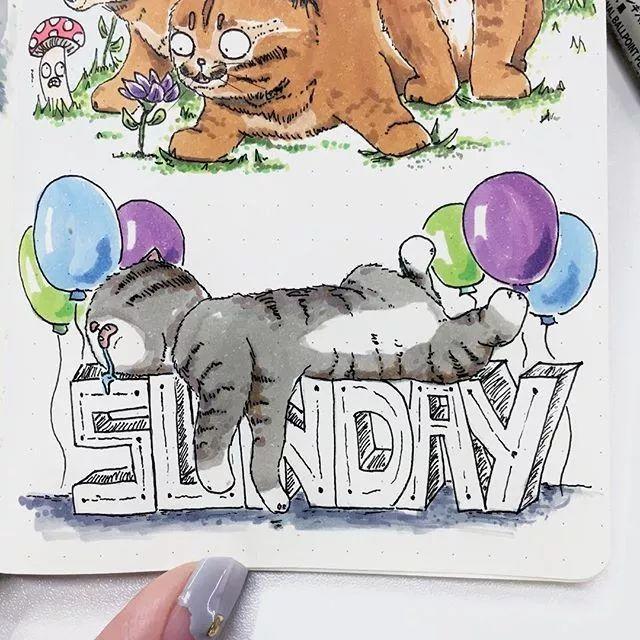 Singapore，Adidas clover，logo，flooflers，