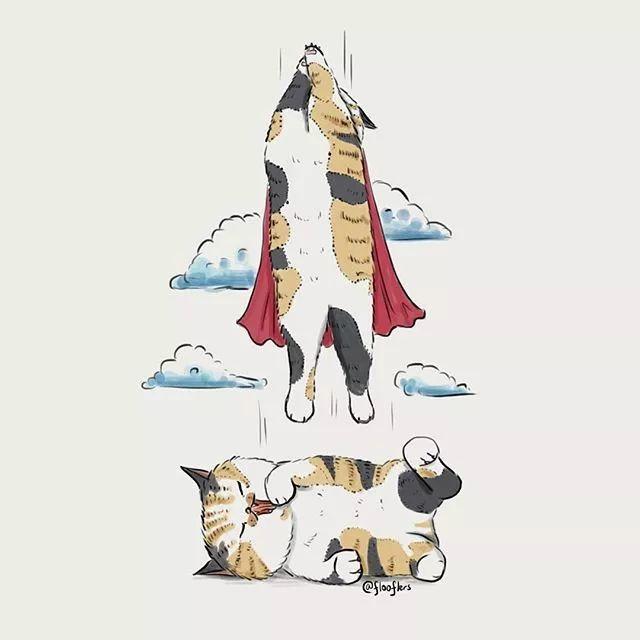 Singapore，Adidas clover，logo，flooflers，