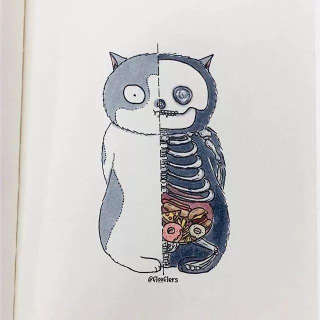 Singapore，Adidas clover，logo，flooflers，