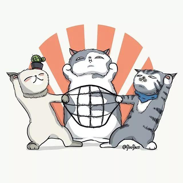 Singapore，Adidas clover，logo，flooflers，