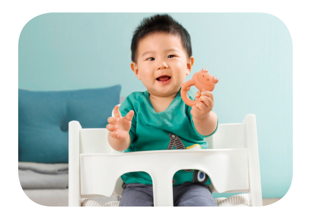 MAM Friends，Toys，rubber，