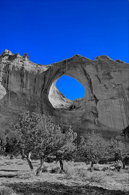 air cleaner，portability，Simplicity，coway，