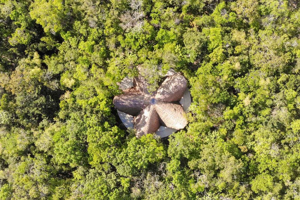 Bamboo，Sustainability，Architecture，temple，