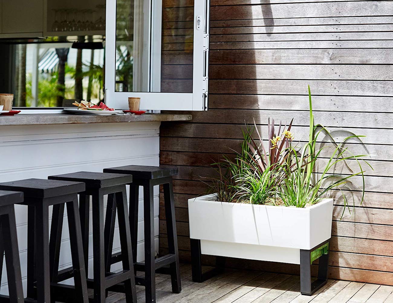 Indoor and outdoor，Automatic watering and seeding，Botany，plant，