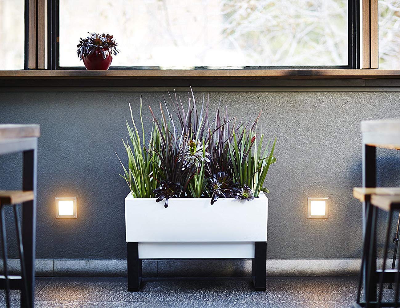 Indoor and outdoor，Automatic watering and seeding，Botany，plant，