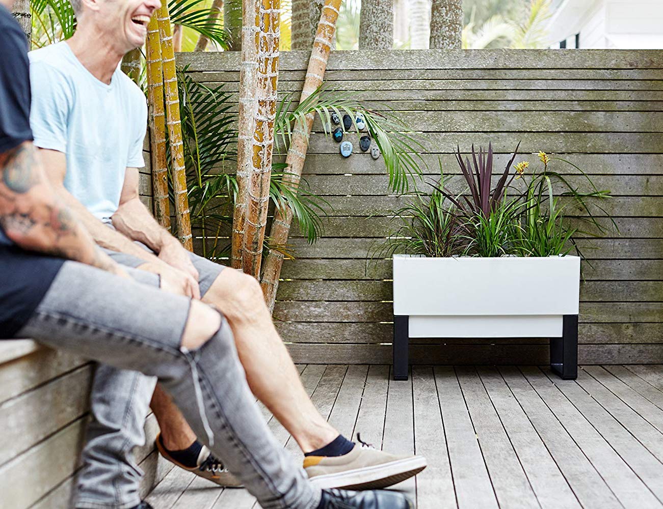 Indoor and outdoor，Automatic watering and seeding，Botany，plant，