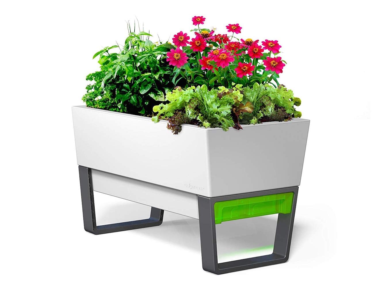 Indoor and outdoor，Automatic watering and seeding，Botany，plant，