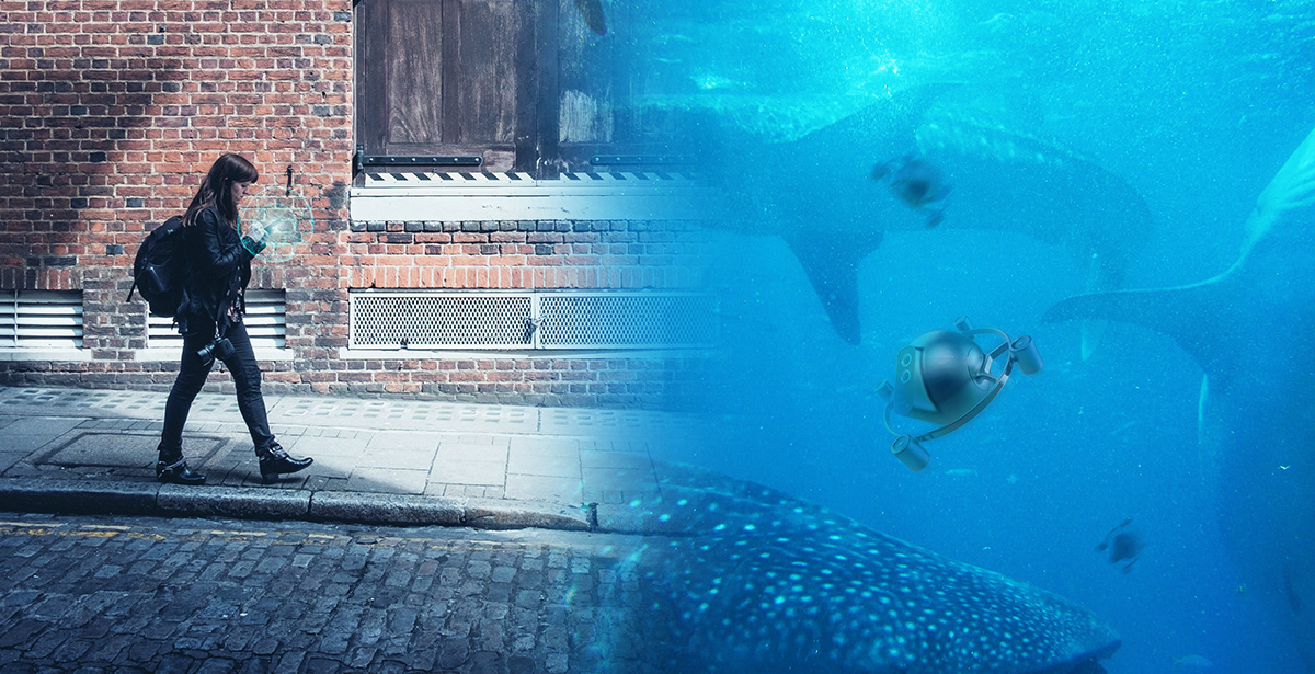 ecology，REAL DIVE，long-range，system，ocean，