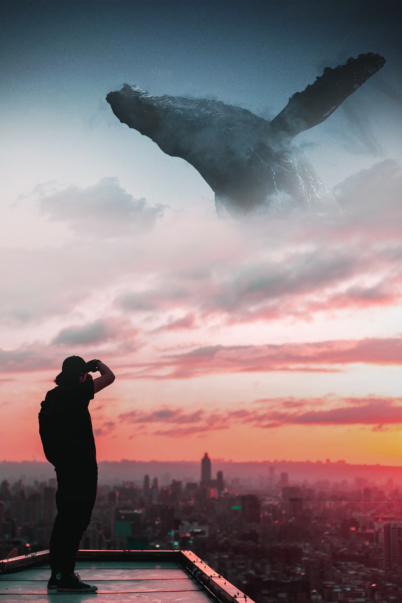 ecology，REAL DIVE，long-range，system，ocean，