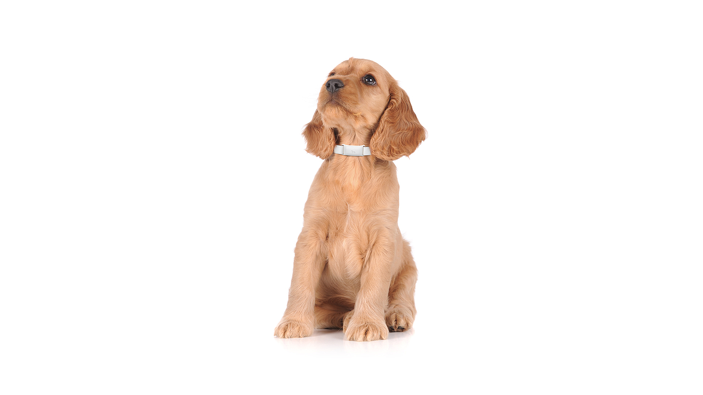 Konka，location，Pets，gps，NB，IOT，