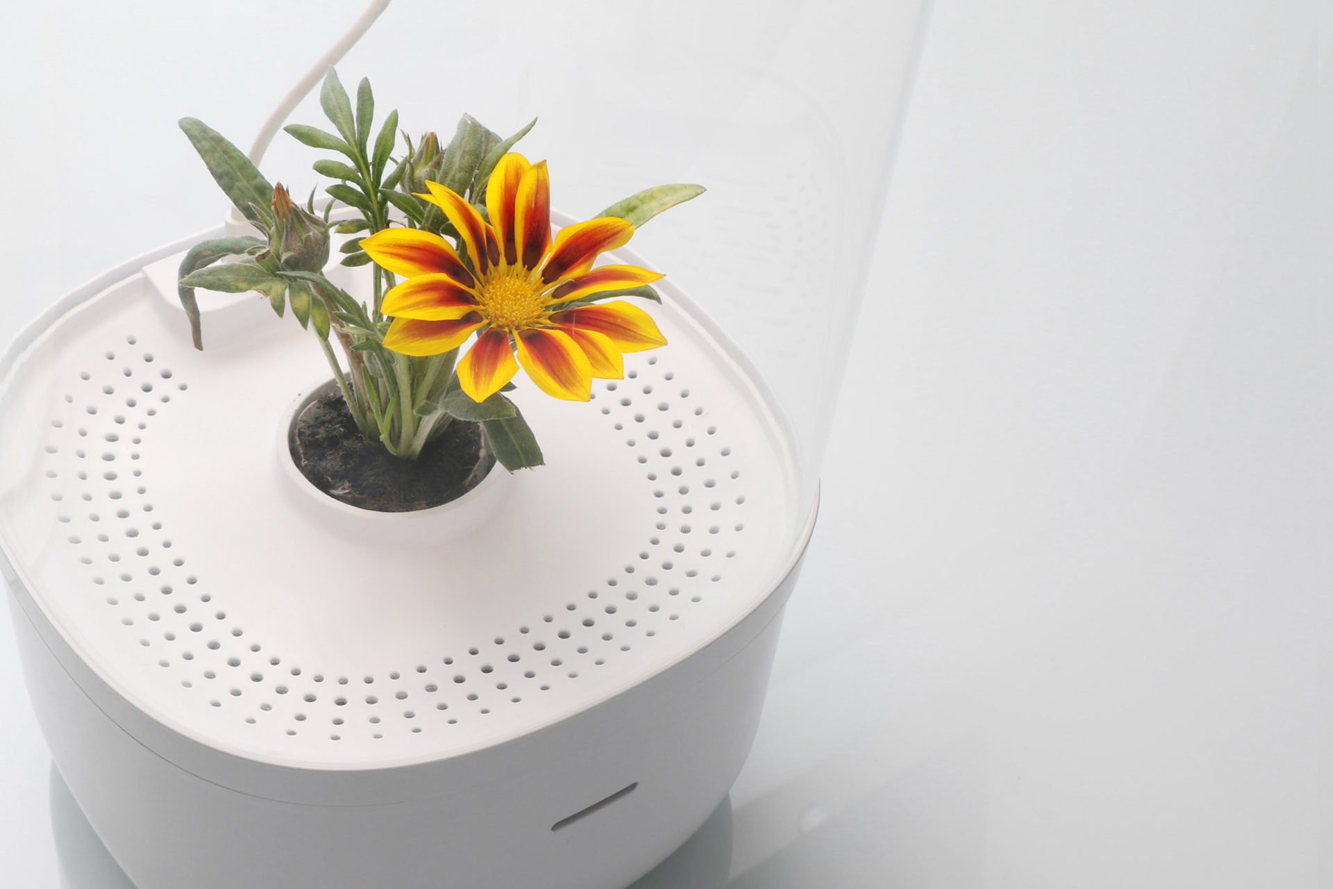 Reciprocal design，industrial design，Smart Planter，gardening equipment ，Intelligent planter，