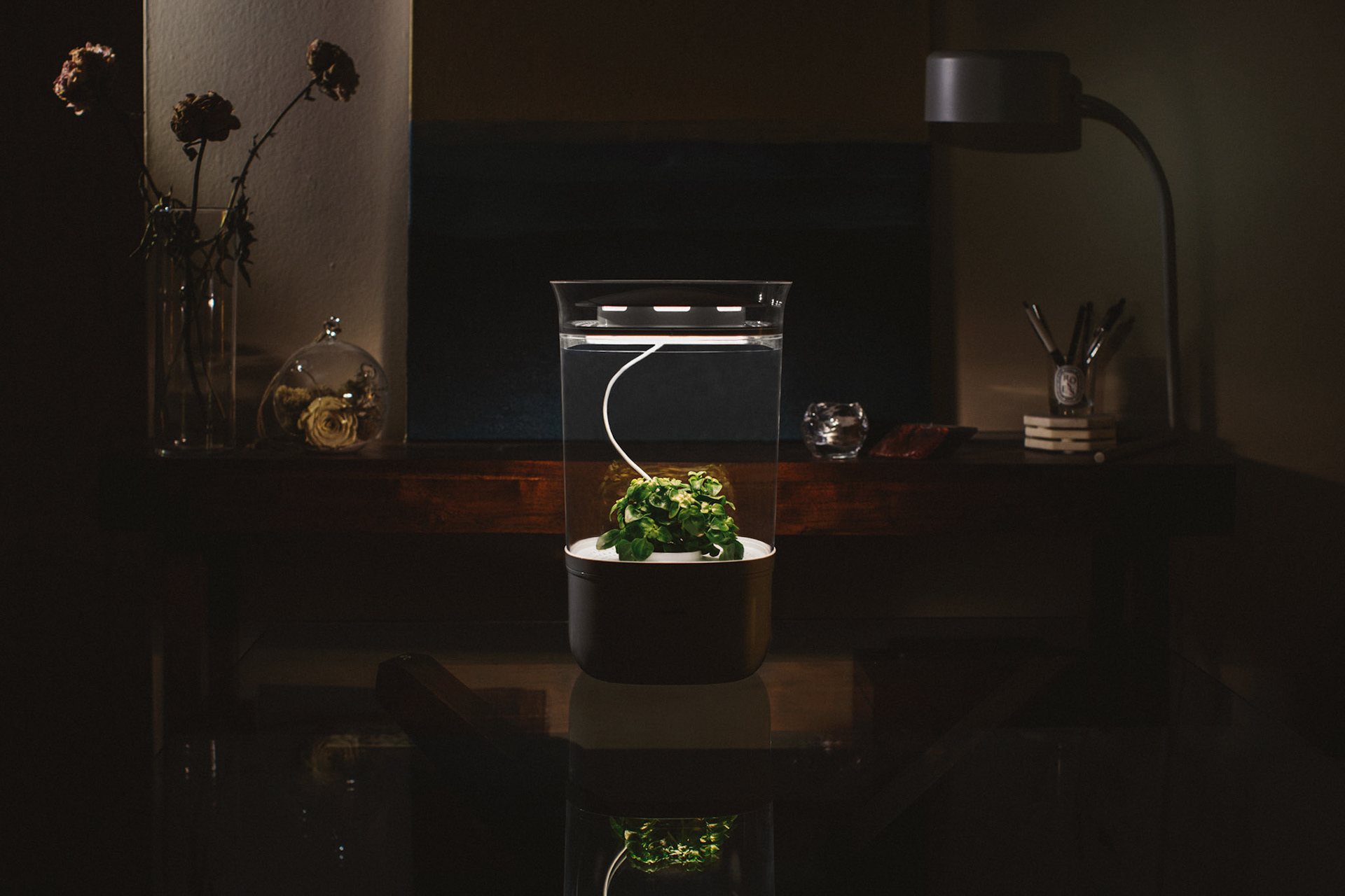 Reciprocal design，industrial design，Smart Planter，gardening equipment ，Intelligent planter，