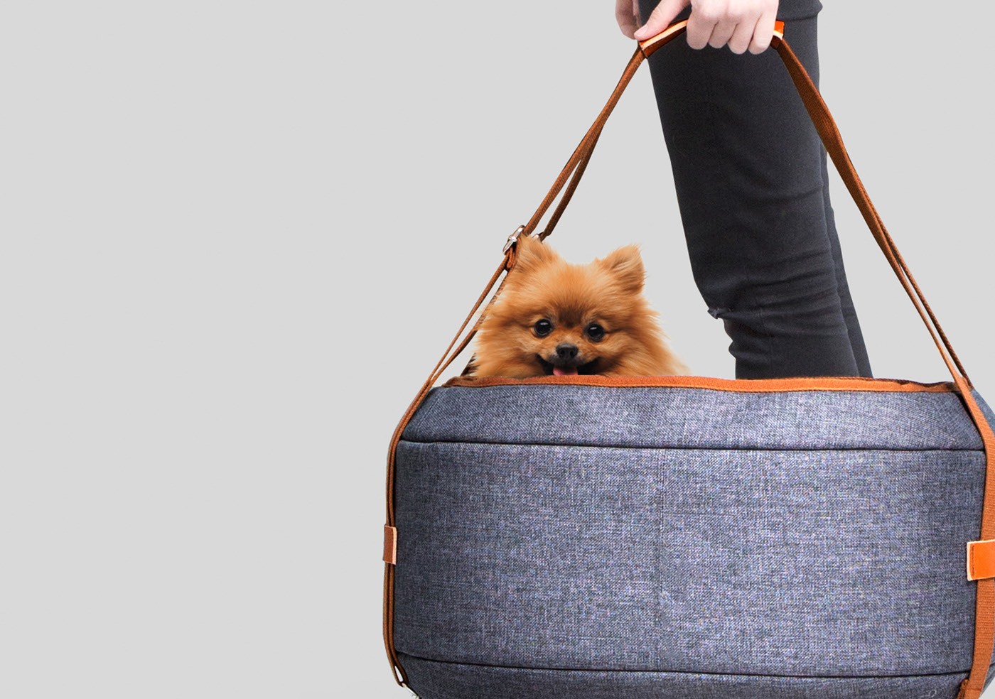 Textile material，Pet bag，HOONICO Carrio，Pet Supplies & Pet，Cat owner，luggage and bags，