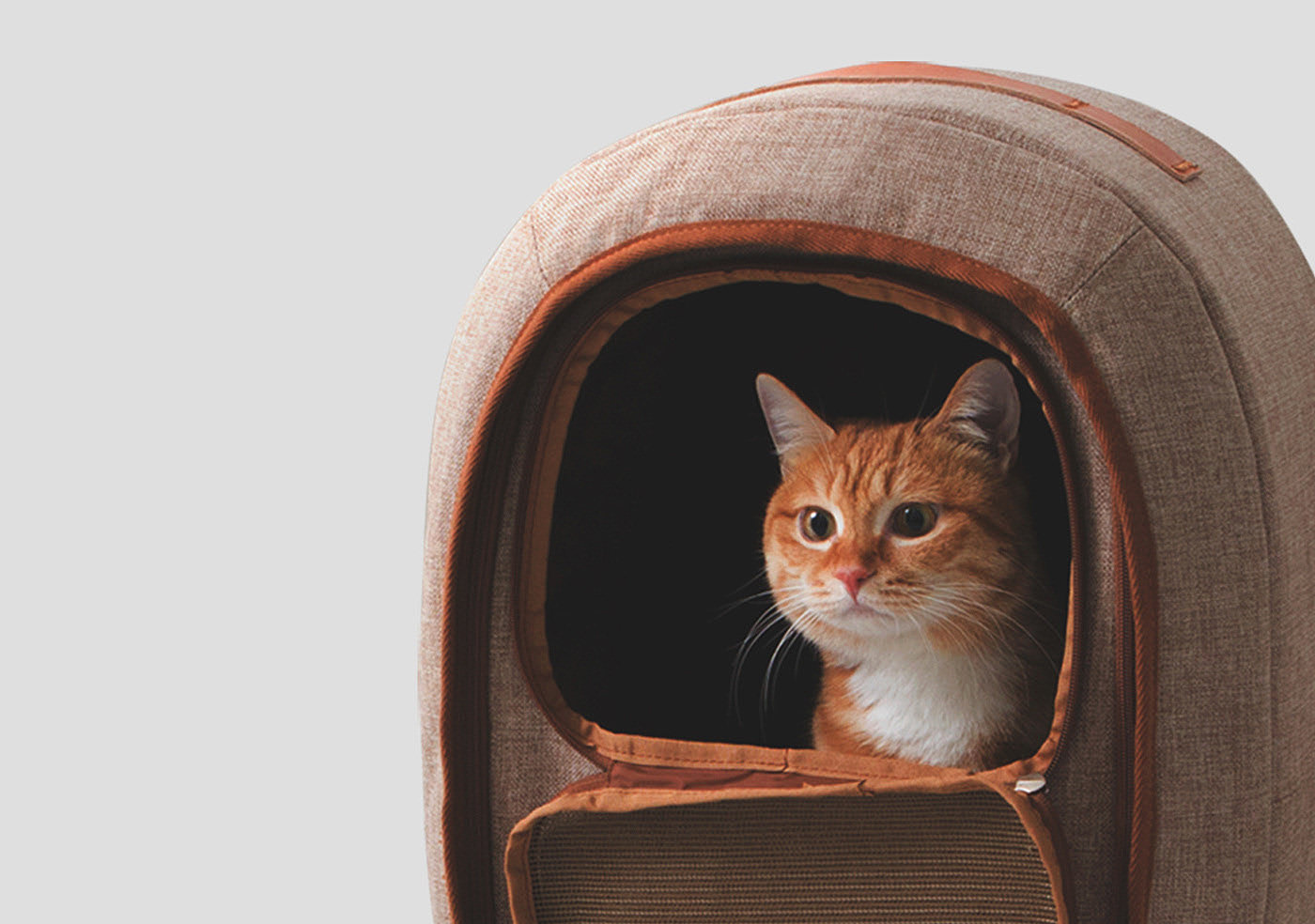 Textile material，Pet bag，HOONICO Carrio，Pet Supplies & Pet，Cat owner，luggage and bags，