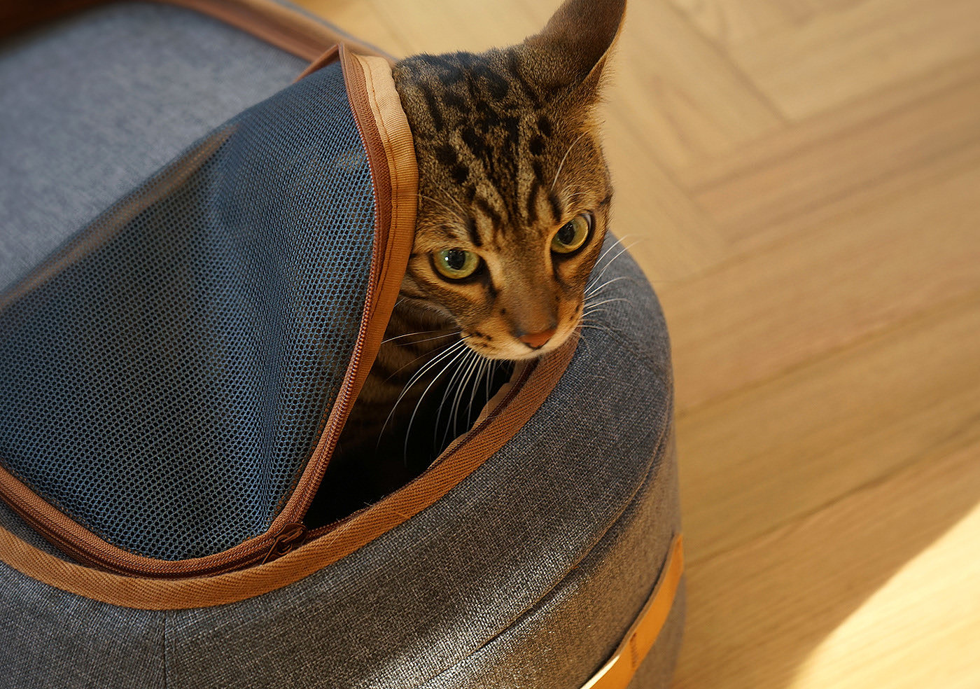 Textile material，Pet bag，HOONICO Carrio，Pet Supplies & Pet，Cat owner，luggage and bags，