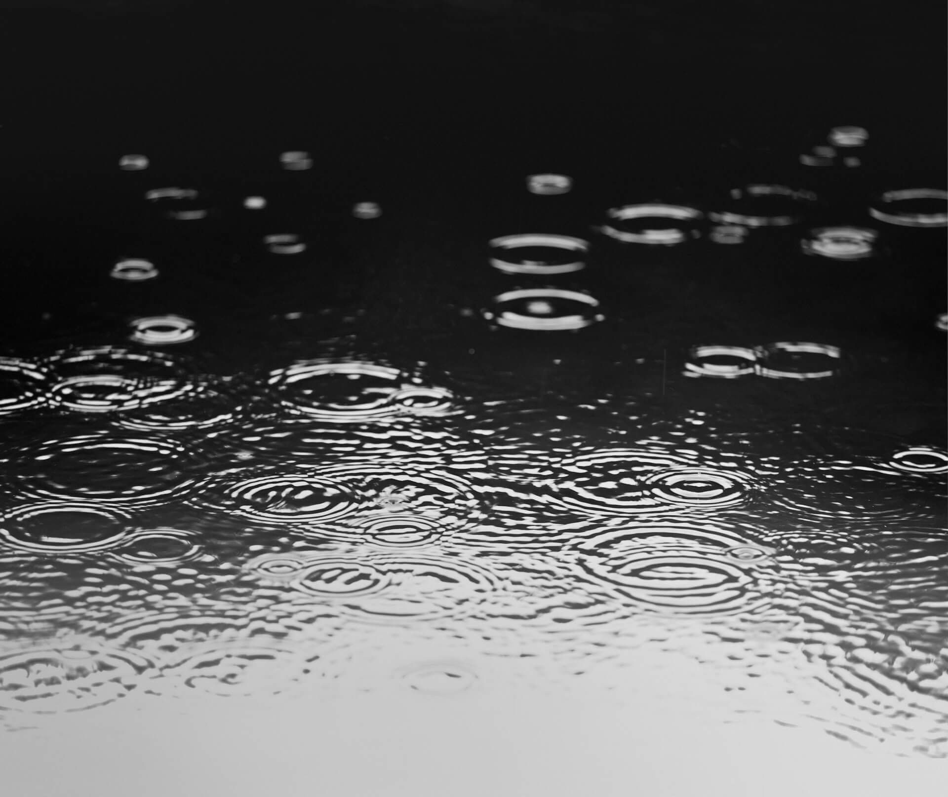 HOLY，inspiration，chaste，packing design，