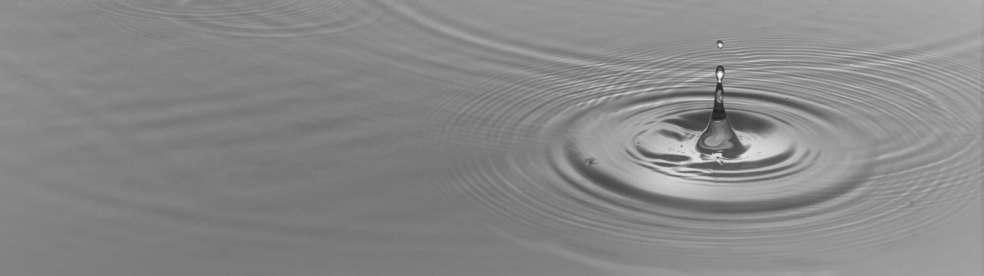 HOLY，inspiration，chaste，packing design，