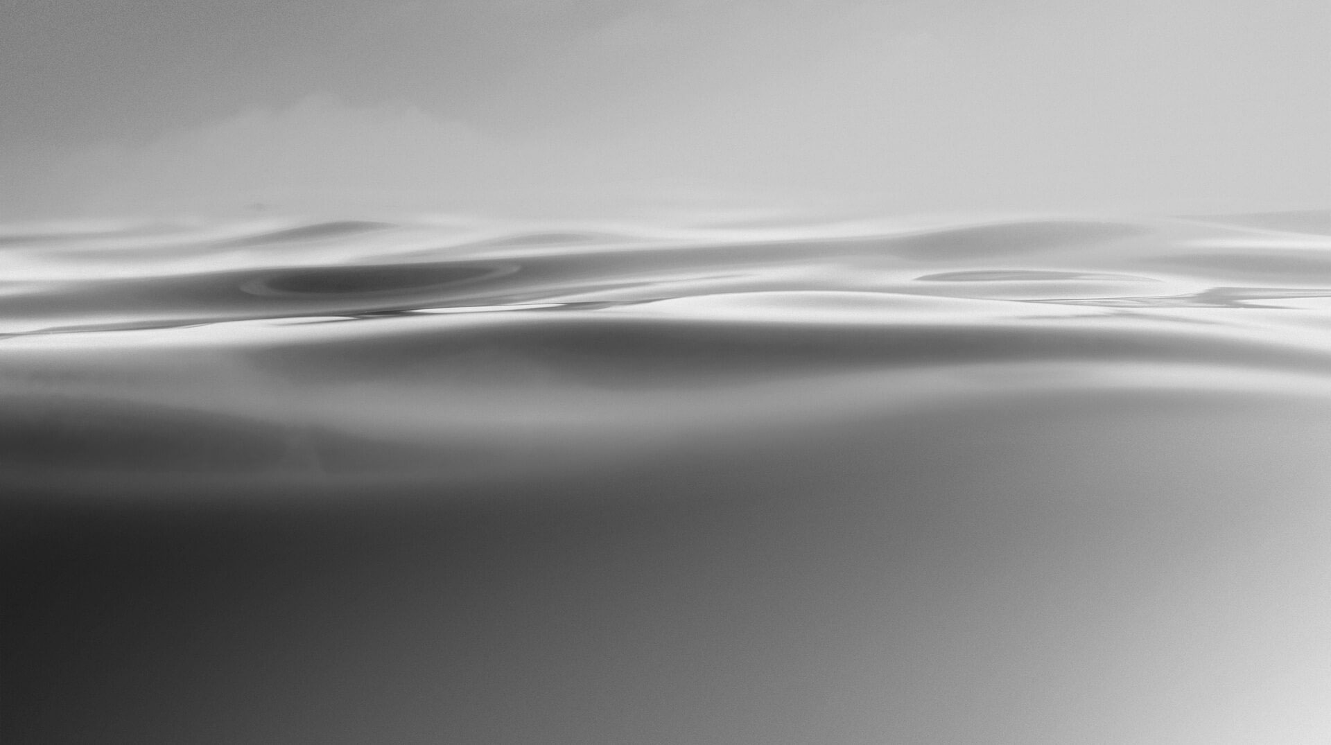 HOLY，inspiration，chaste，packing design，