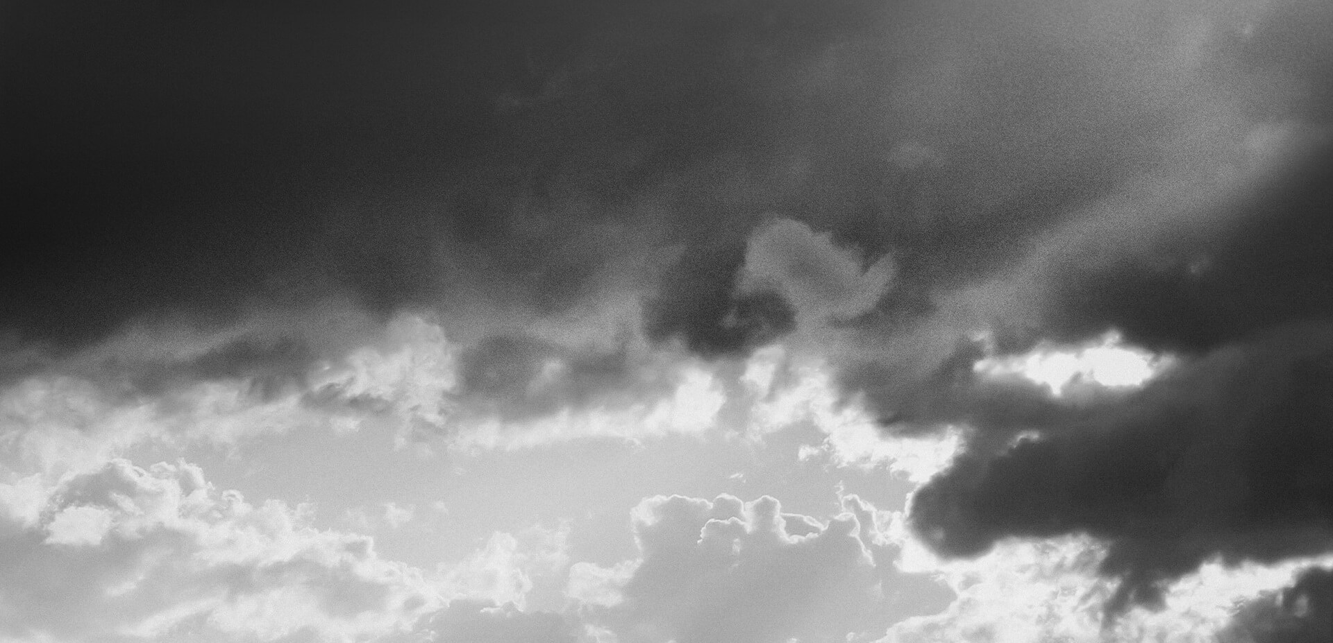 HOLY，inspiration，chaste，packing design，