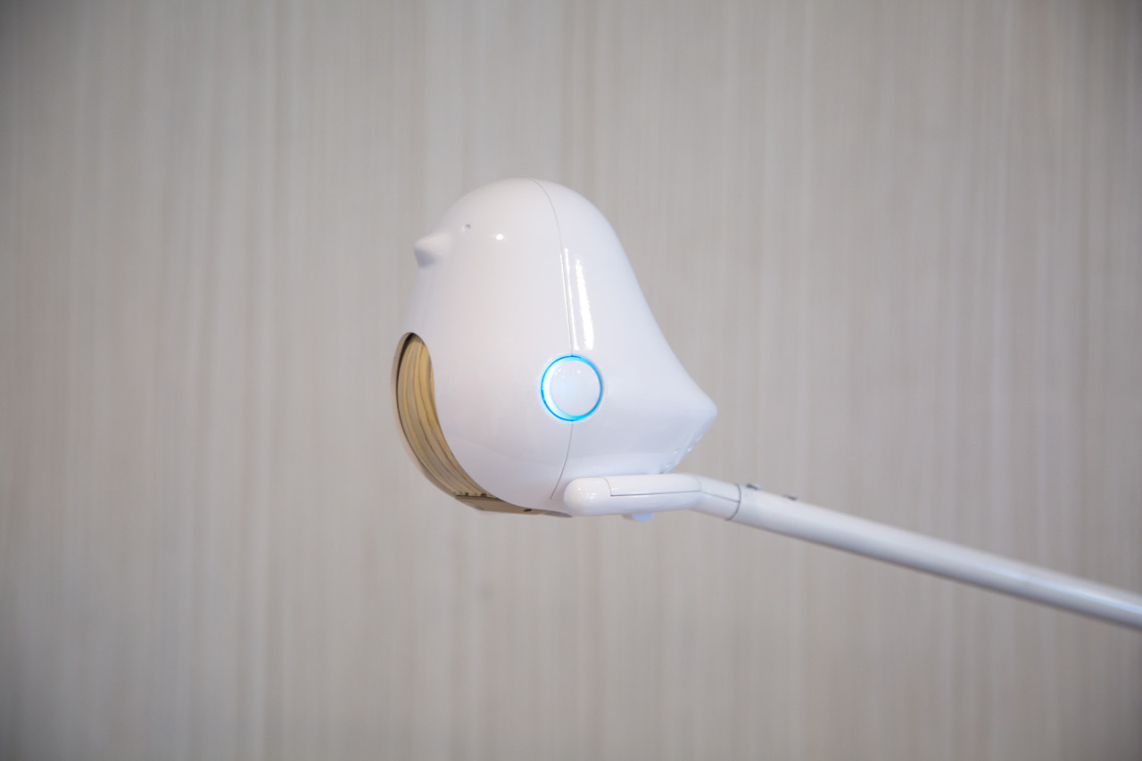 Mother and baby，baby，camera，nurse，