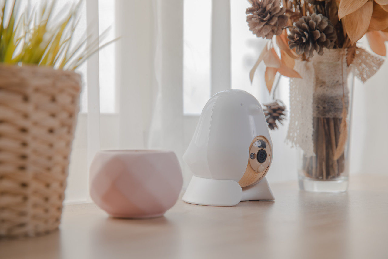 Mother and baby，baby，camera，nurse，