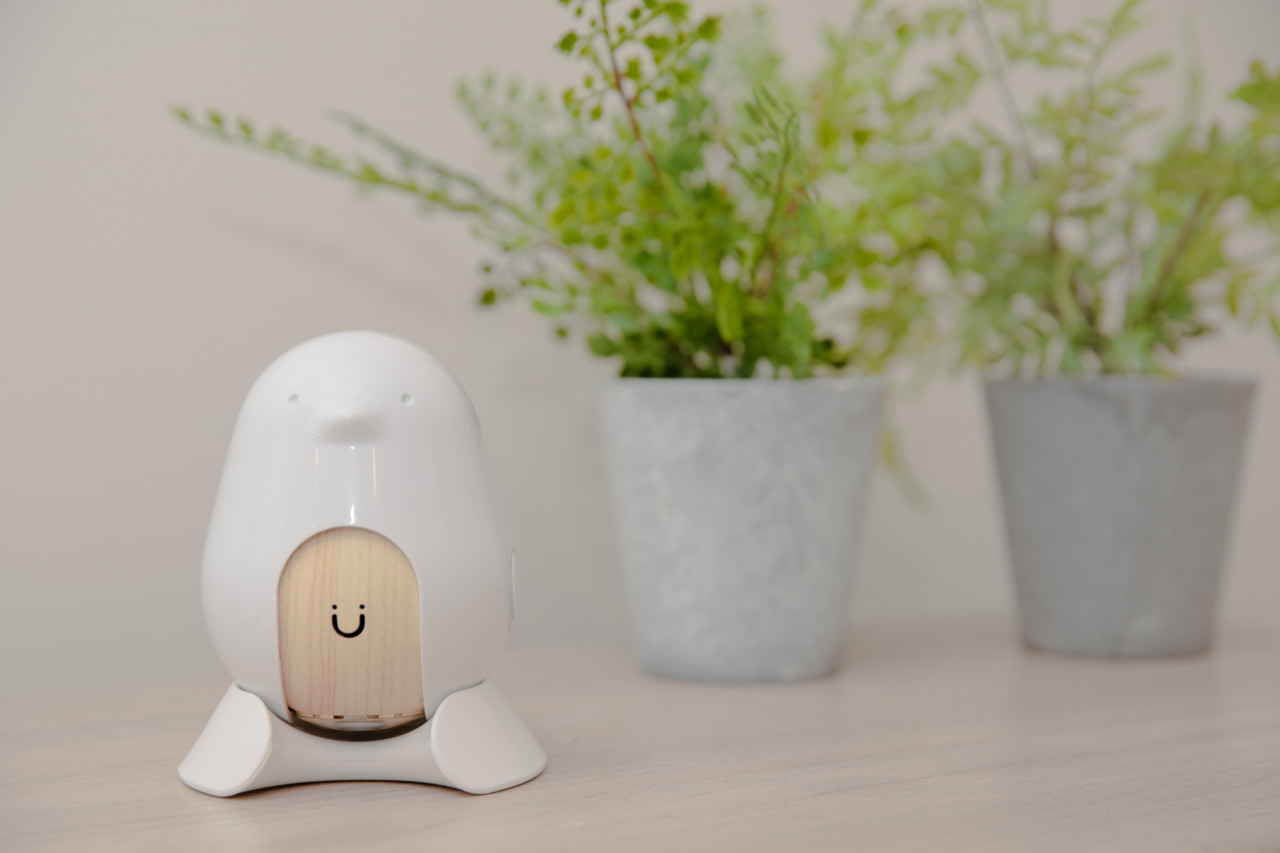 Mother and baby，baby，camera，nurse，