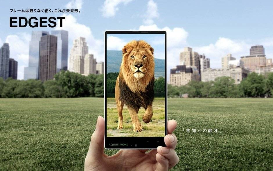 Full screen，Curved screen，Liu Haiping，Zhi Huiping，Lifting screen，