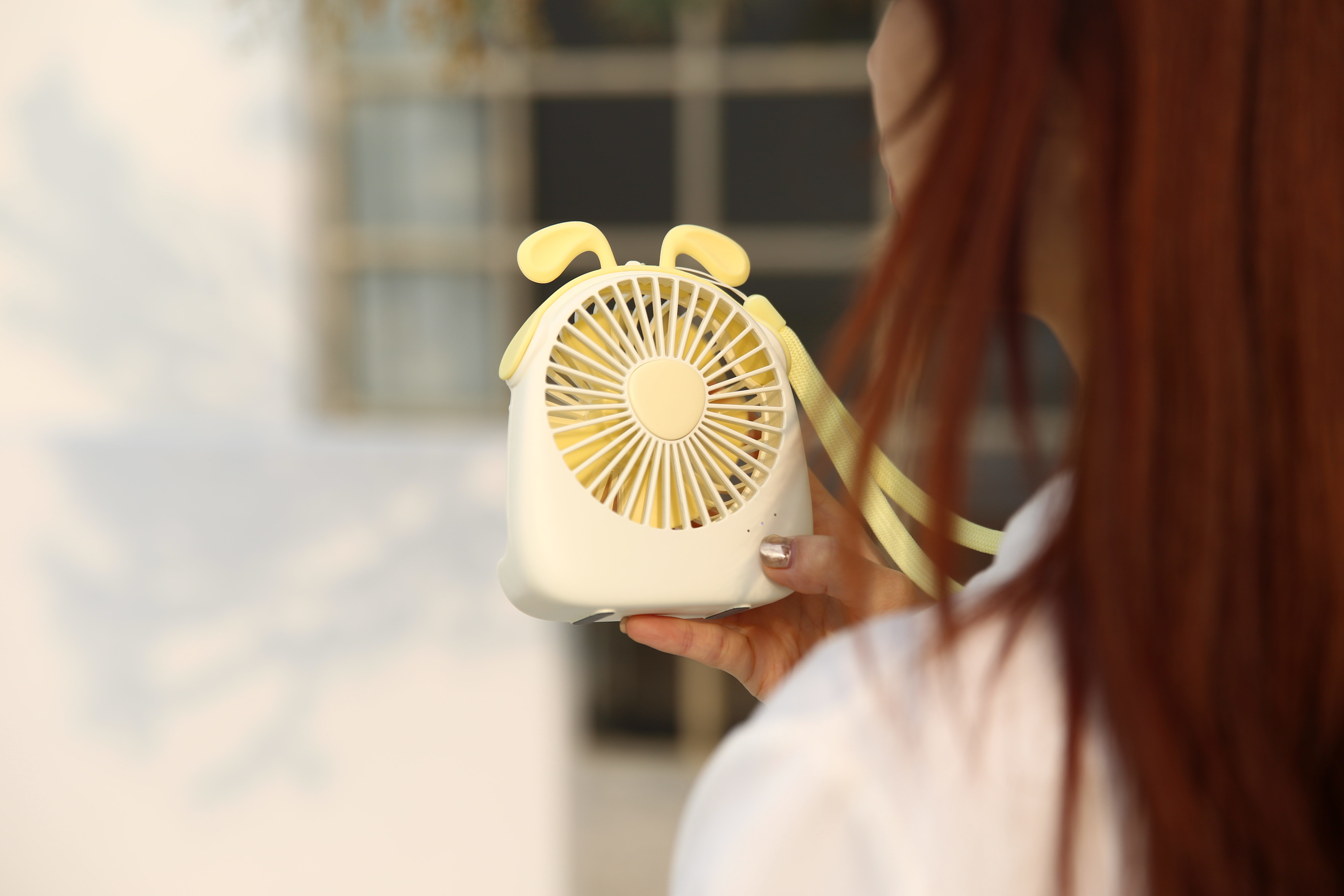 fan，Small fan，Cartoon，lovely，