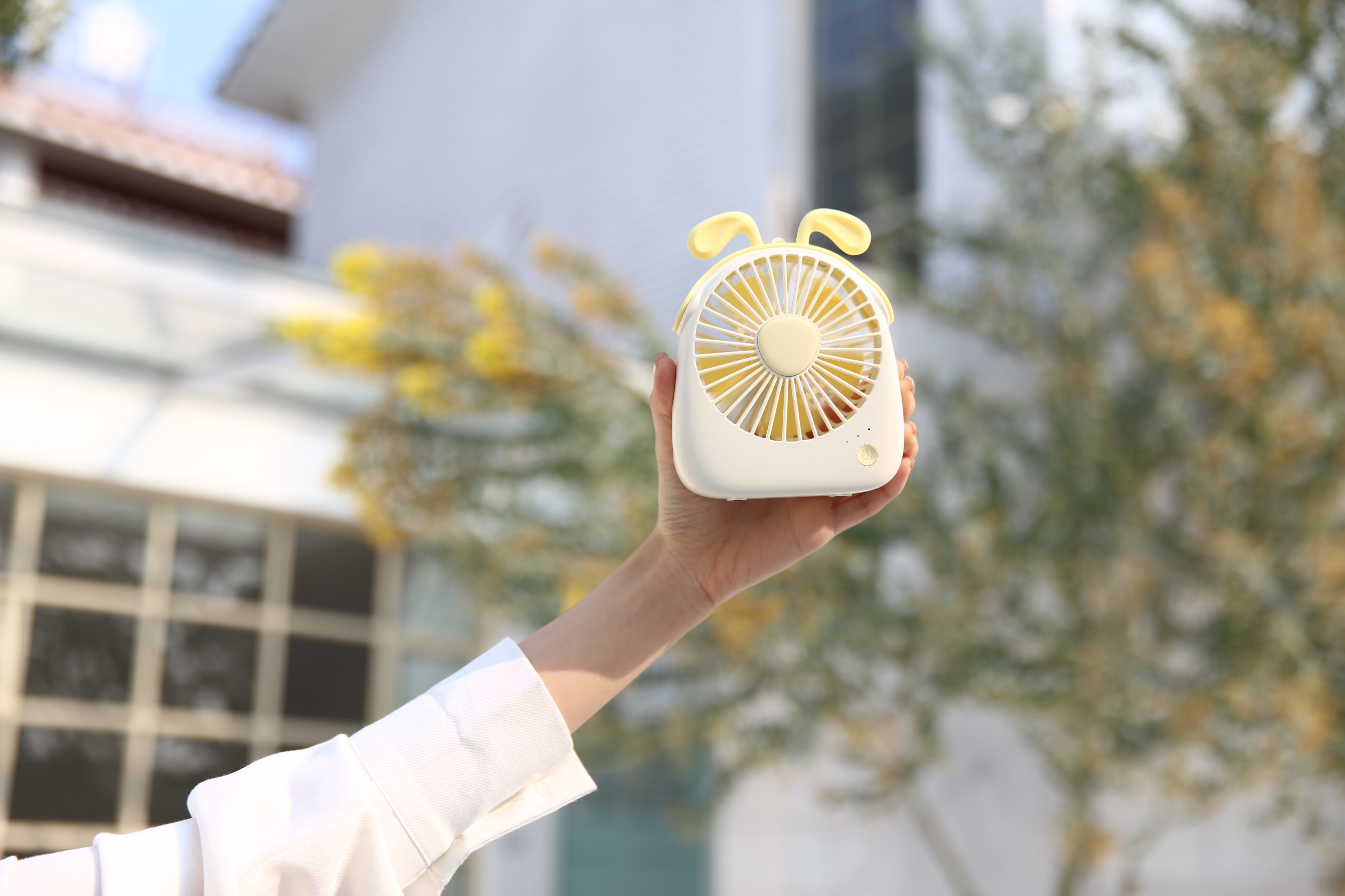 fan，Small fan，Cartoon，lovely，