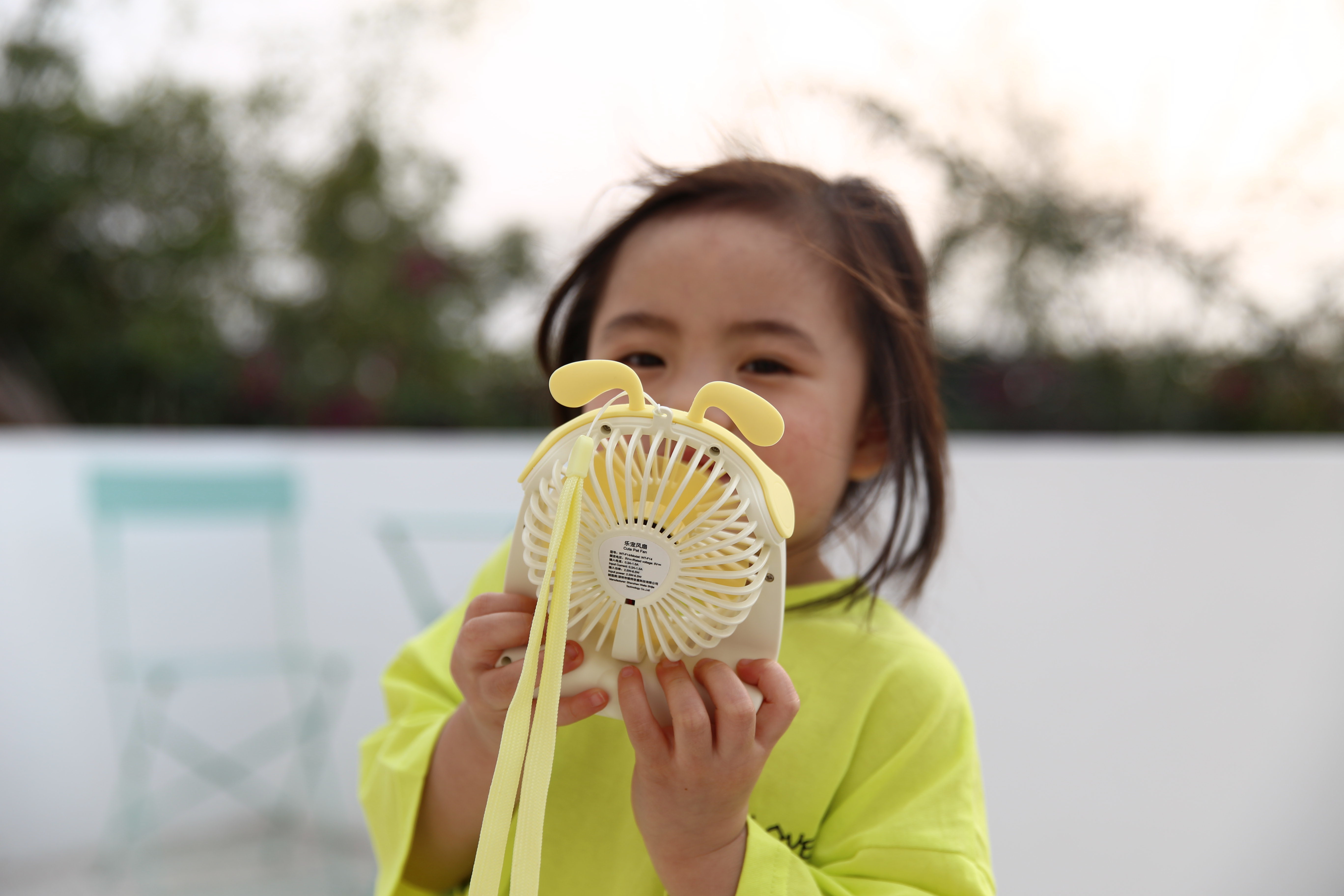 fan，Small fan，Cartoon，lovely，