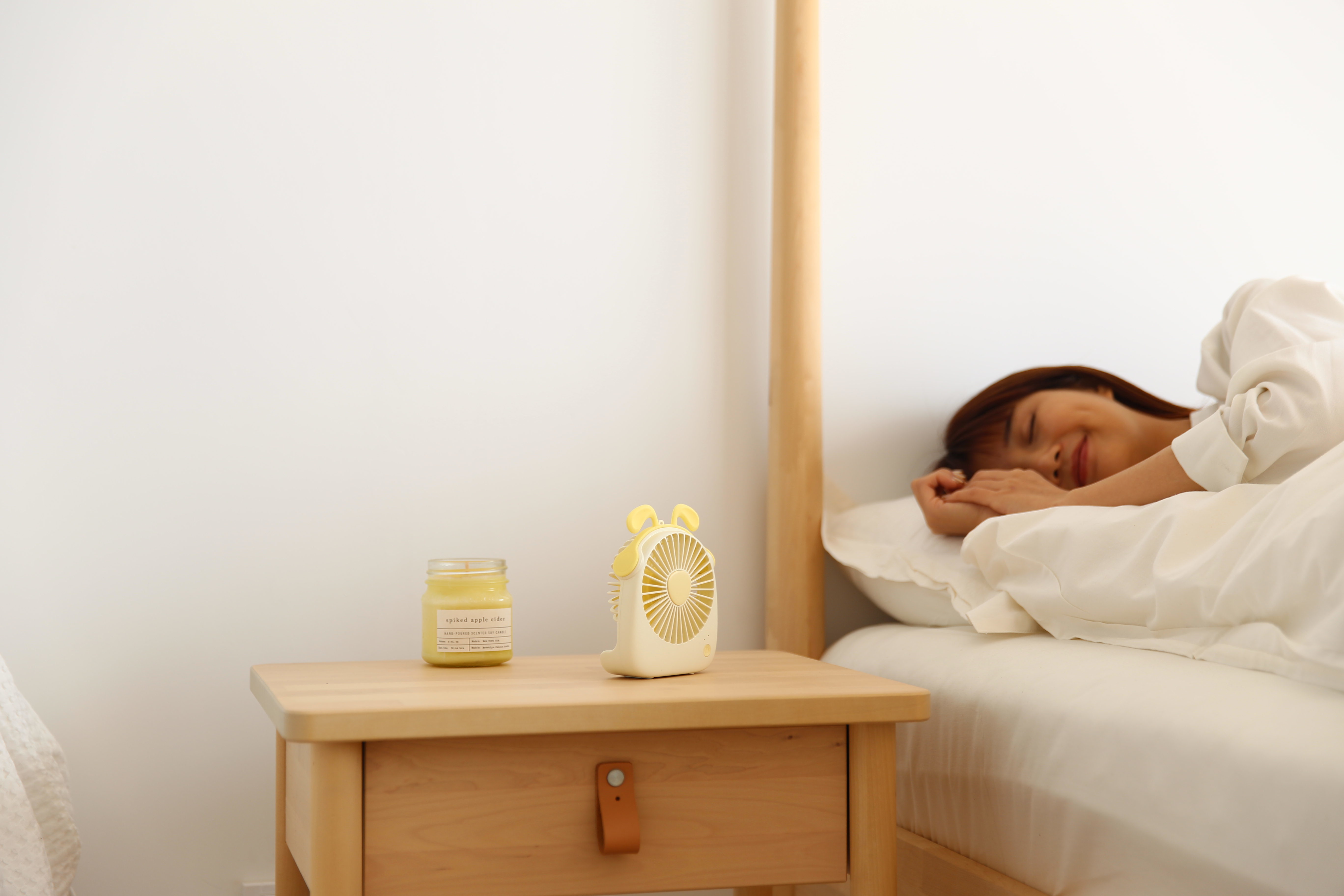 fan，Small fan，Cartoon，lovely，