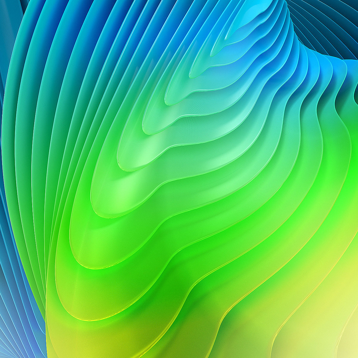 wallpaper，form，color，vision，