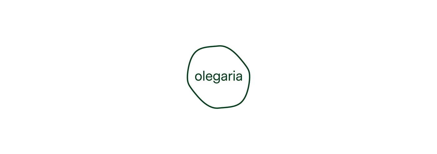 Olegaria，Arts and Crafts，gardening，Flowerpot，
