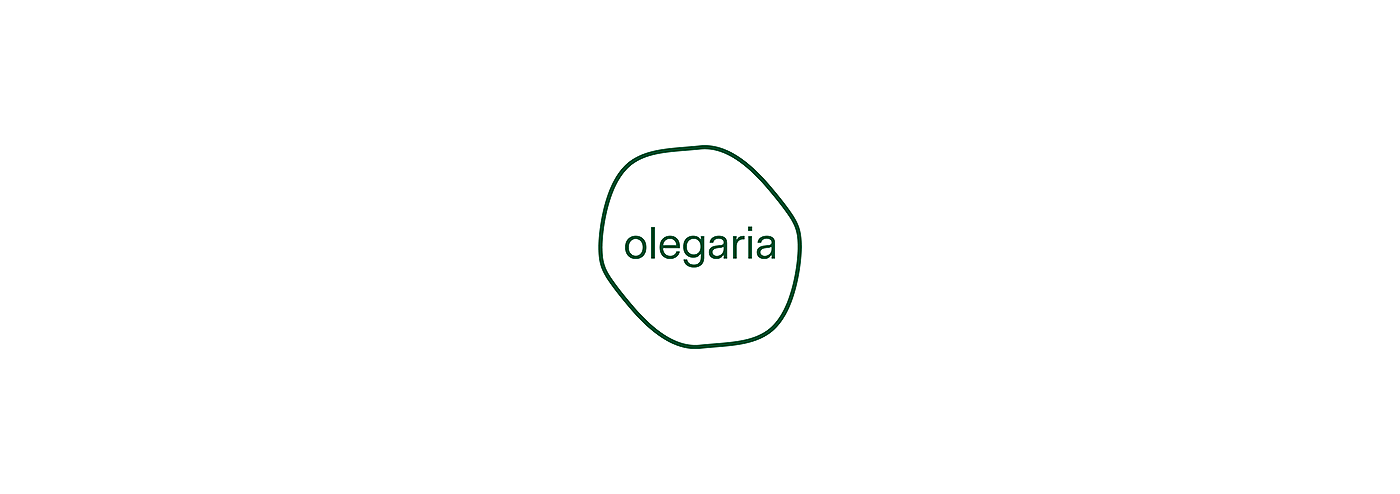 Olegaria，Arts and Crafts，gardening，Flowerpot，