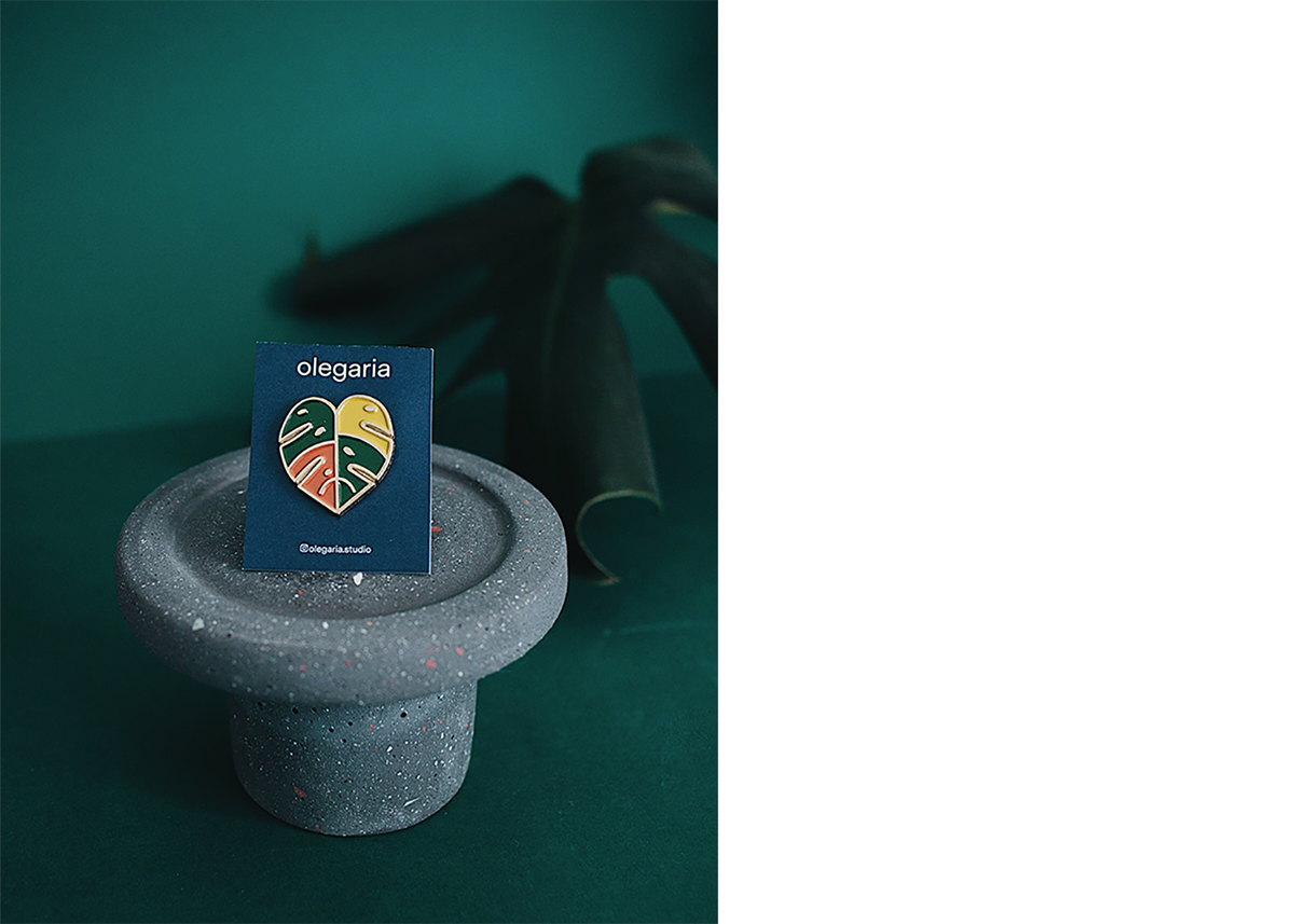 Olegaria，Arts and Crafts，gardening，Flowerpot，