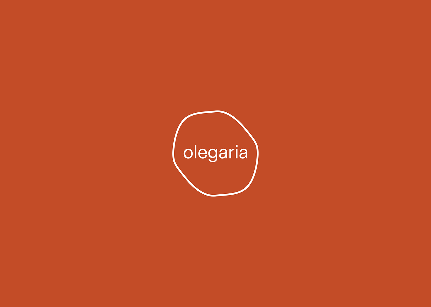 Olegaria，Arts and Crafts，gardening，Flowerpot，