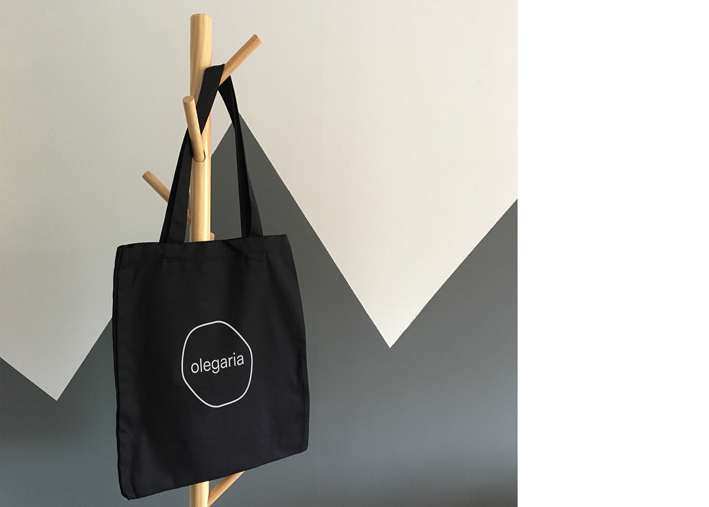 Olegaria，Arts and Crafts，gardening，Flowerpot，