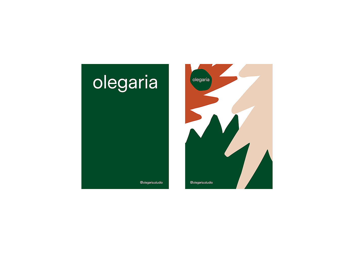 Olegaria，工艺品，园艺，花盆，
