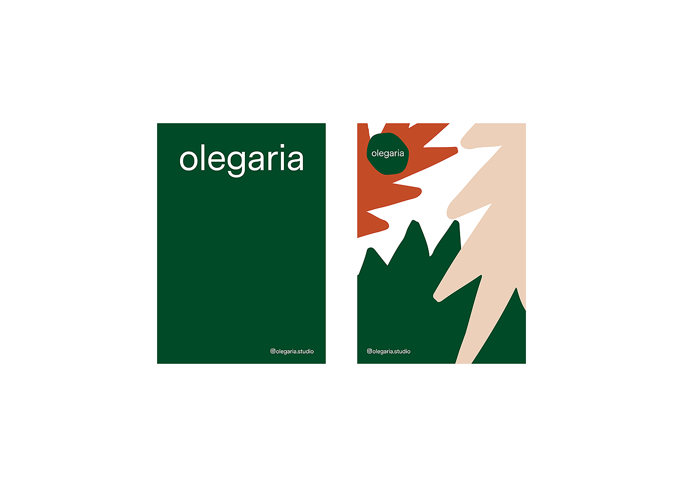 Olegaria，Arts and Crafts，gardening，Flowerpot，