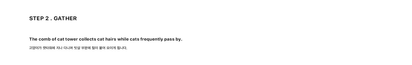 indoor，Respiratory diseases，Fly ，Cat climbing frame，cat，