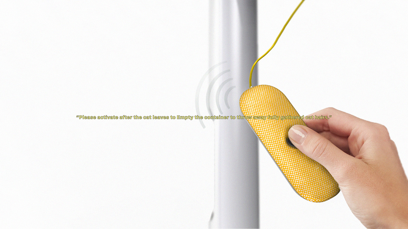 indoor，Respiratory diseases，Fly ，Cat climbing frame，cat，