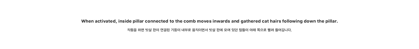 indoor，Respiratory diseases，Fly ，Cat climbing frame，cat，