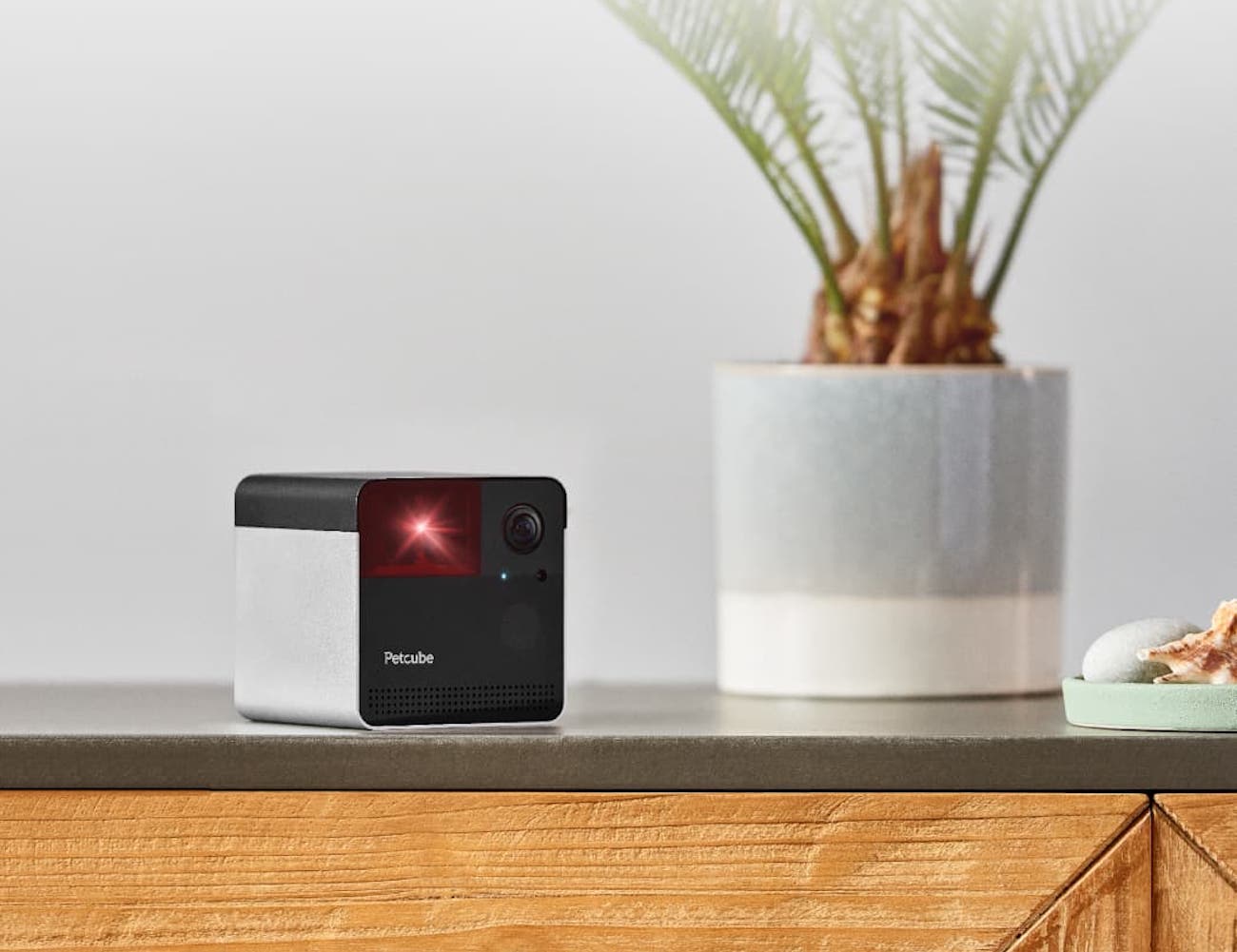 remote，monitor，laser，Pets，interactive，