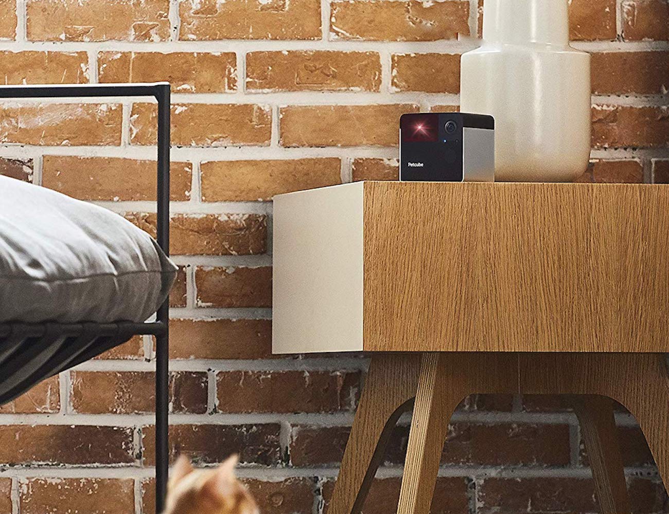 remote，monitor，laser，Pets，interactive，