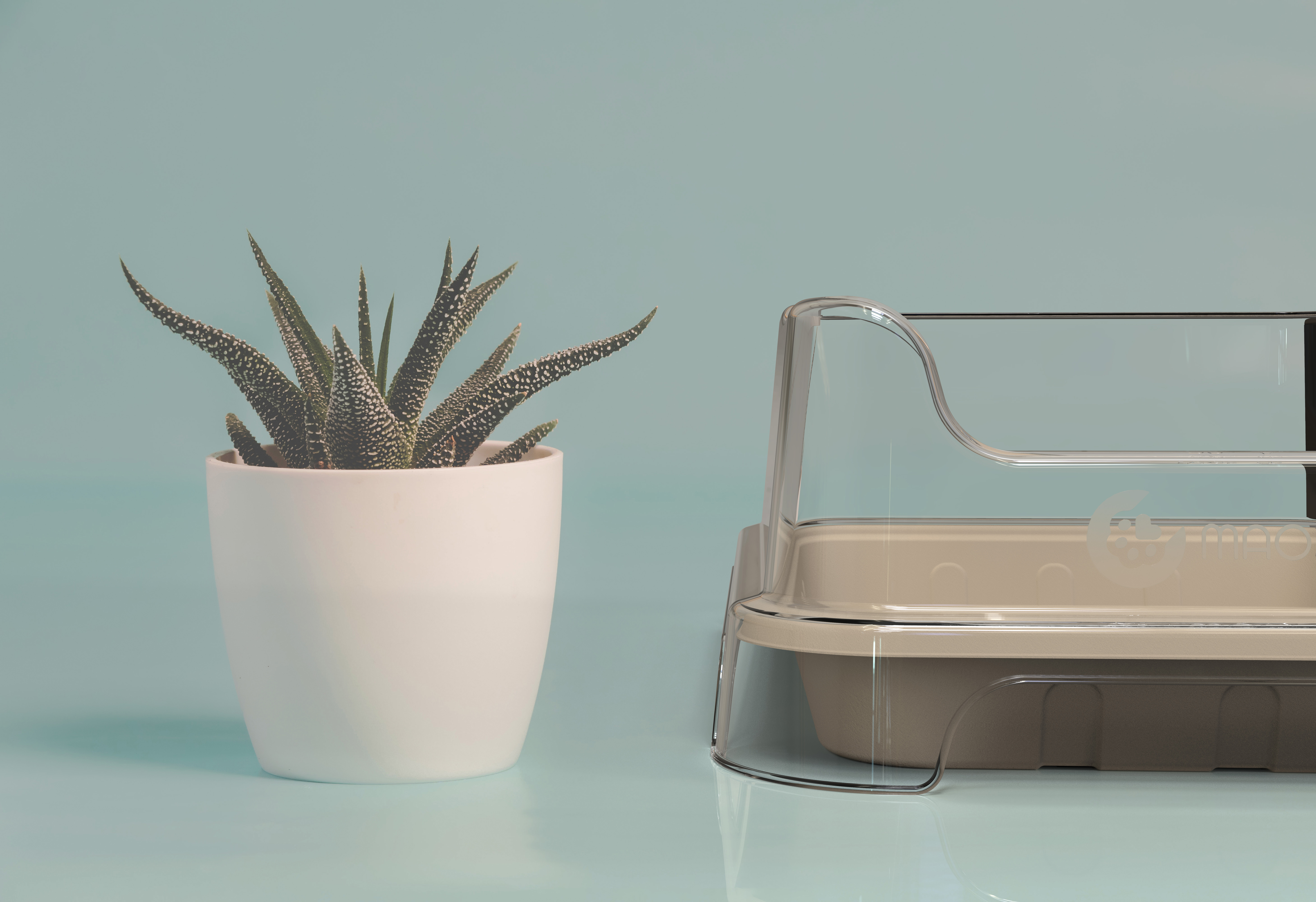 猫砂盆,一次性,环保纸,免消毒,替换,猫,宠物,产品设计