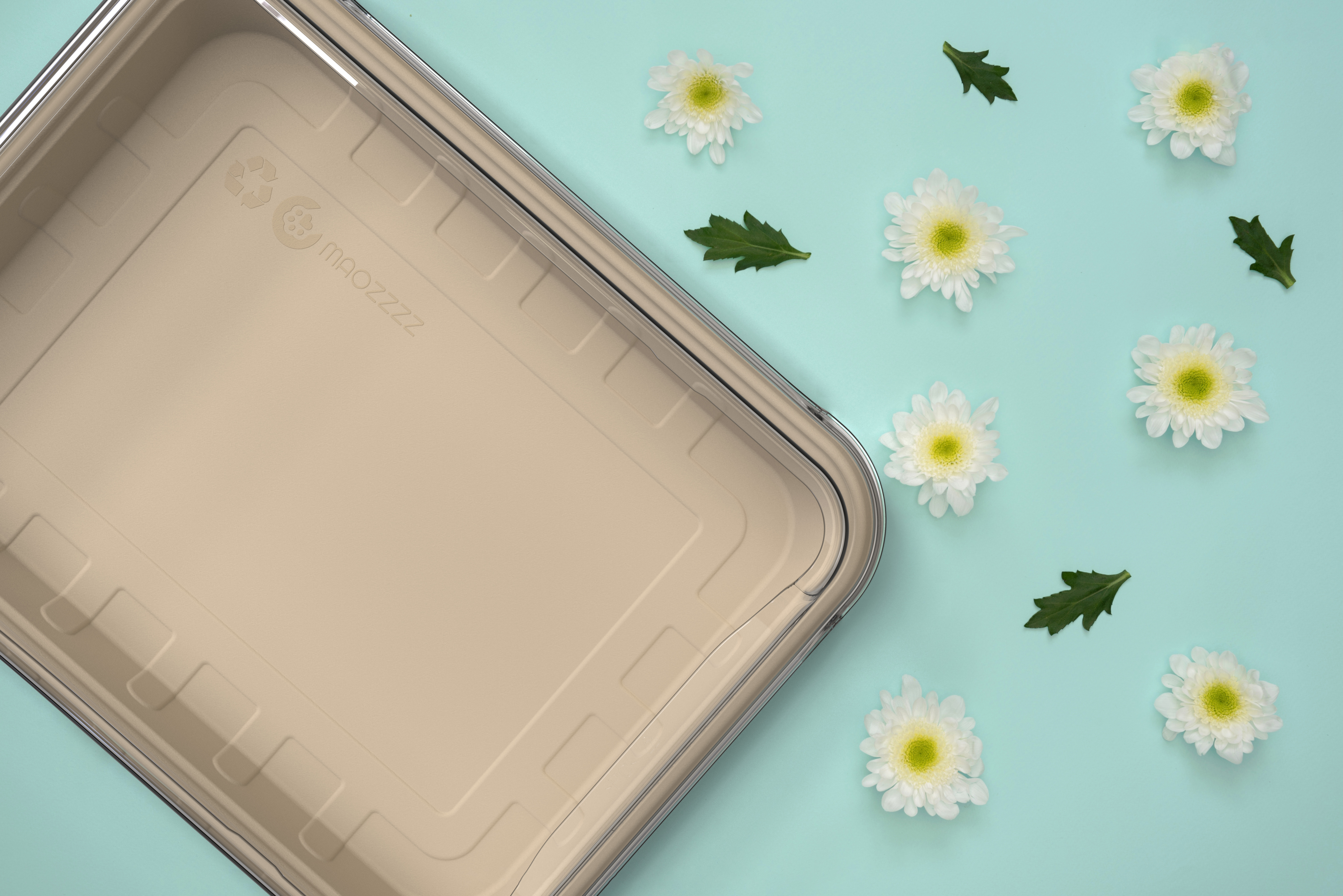 Litter Basin，disposable，Environmental protection paper，Disinfection free，replace，cat，Pets，product design，