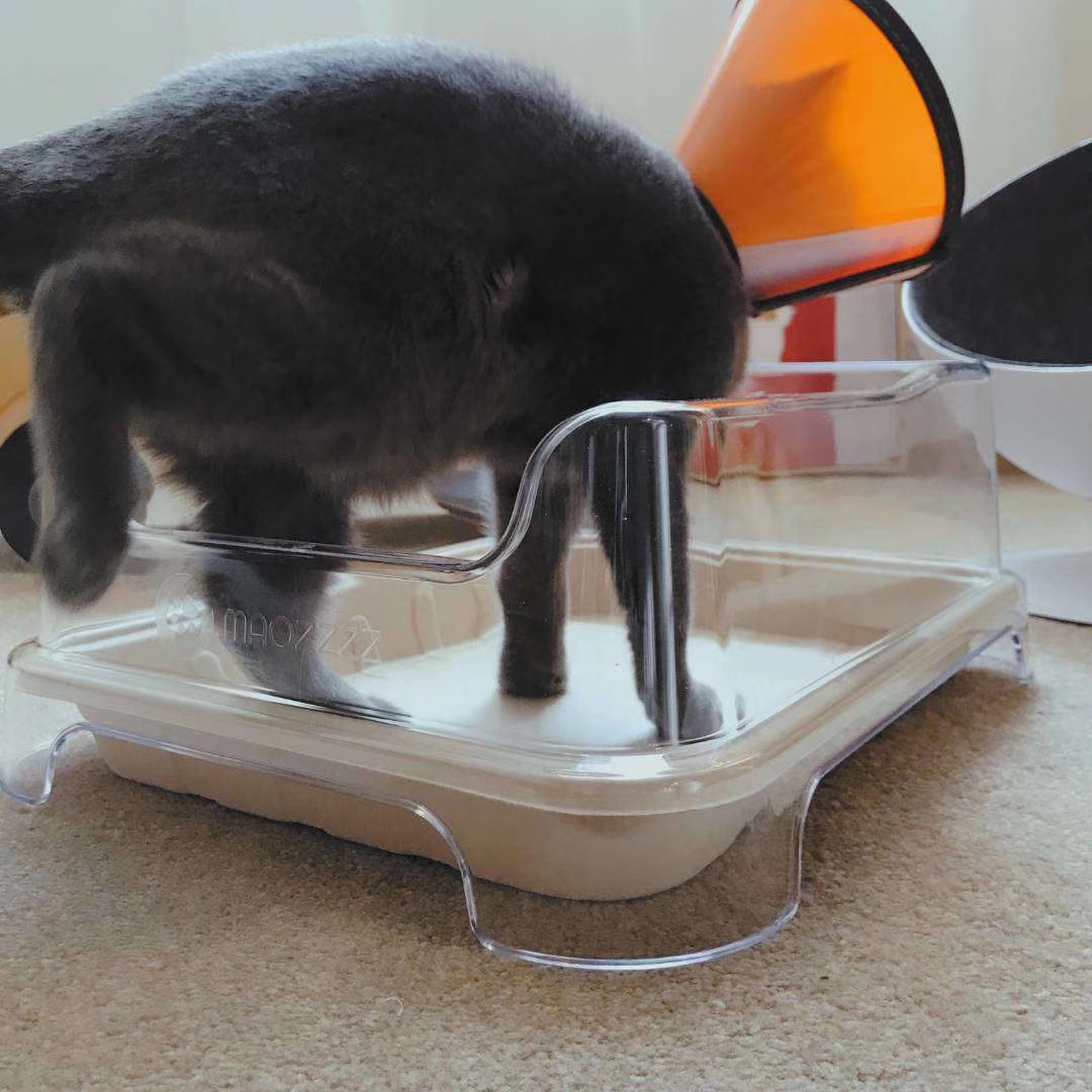 Litter Basin，disposable，Environmental protection paper，Disinfection free，replace，cat，Pets，product design，