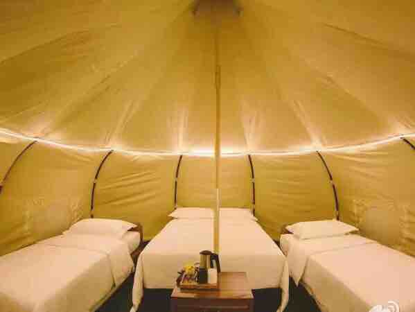 Tent，outdoors，Home stay，